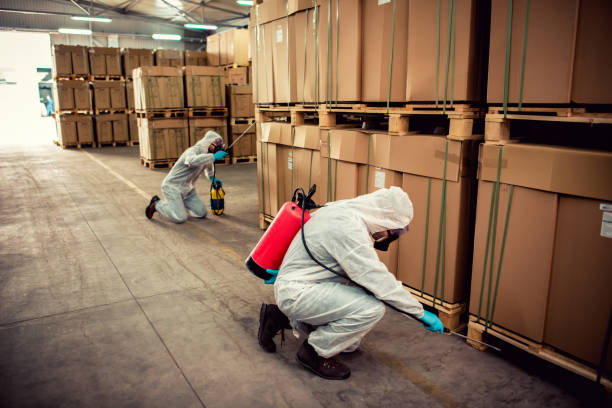 Best Local Pest Control Services  in Kingman, KS