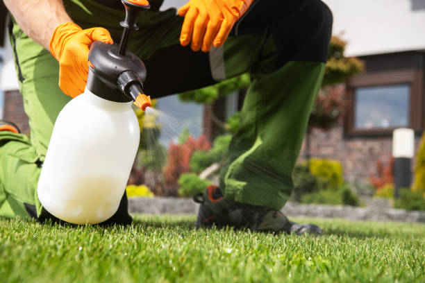 Best Pest Control for Homes  in Kingman, KS