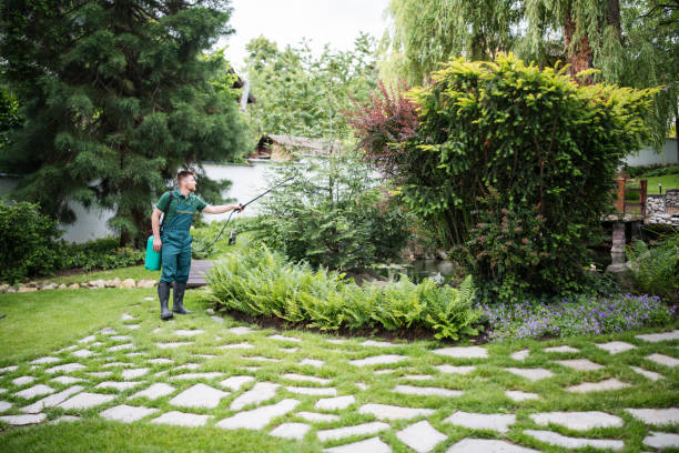 Best Pest Control for Homes  in Kingman, KS