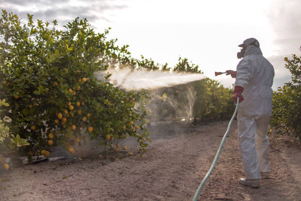Best Pest Prevention Services  in Kingman, KS
