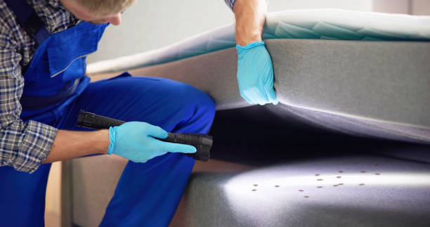 Best Pest Control Near Me in Kingman, KS