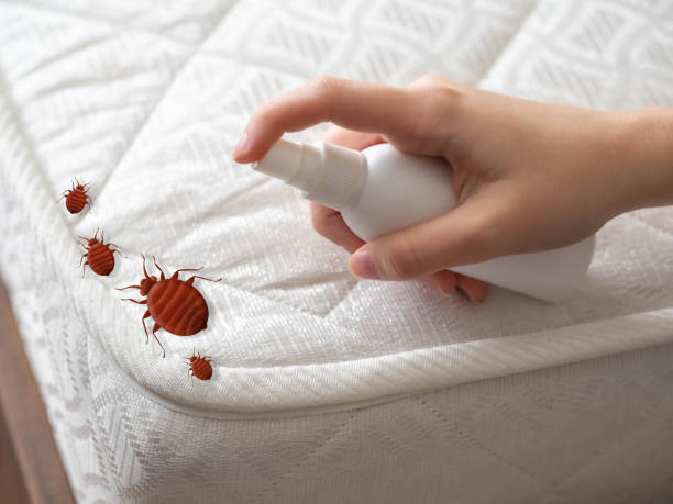 Best Exterminator Services  in Kingman, KS