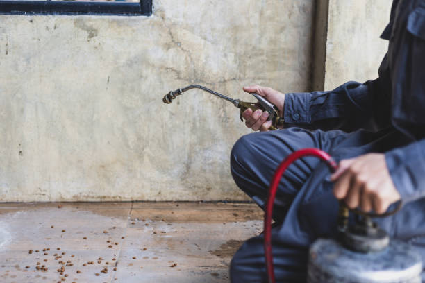 Best Termite Control Services  in Kingman, KS