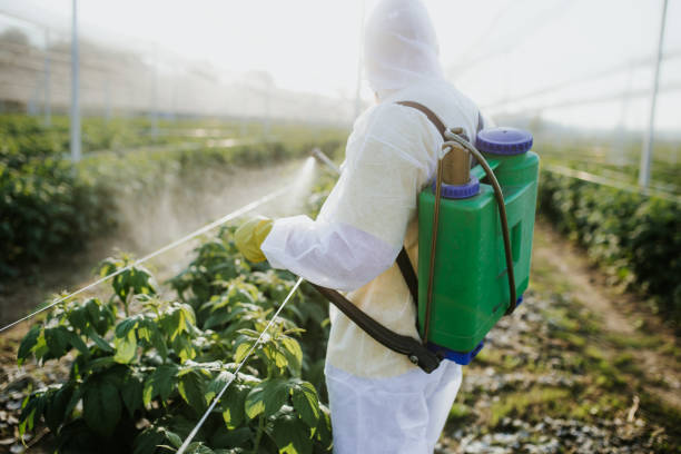 Best Flea Control Services  in Kingman, KS